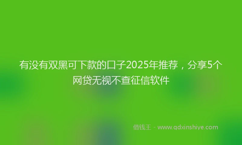 有没有双黑可下款的口子2025年推荐，分享5个网贷无视不查征信软件