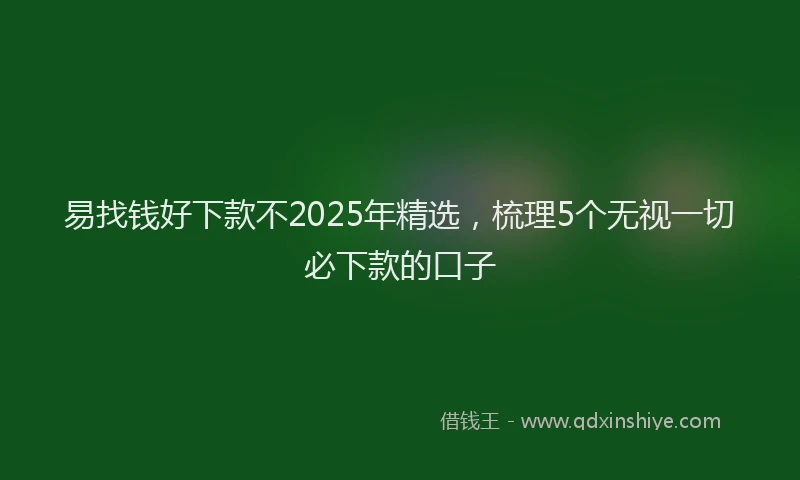 易找钱好下款不2025年精选，梳理5个无视一切必下款的口子