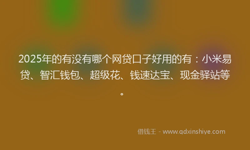 2025年的有没有哪个网贷口子好用的有：小米易贷、智汇钱包、超级花、钱速达宝、现金驿站等。