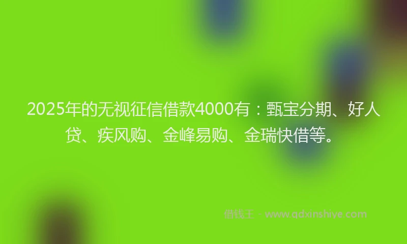 2025年的无视征信借款4000有：甄宝分期、好人贷、疾风购、金峰易购、金瑞快借等。