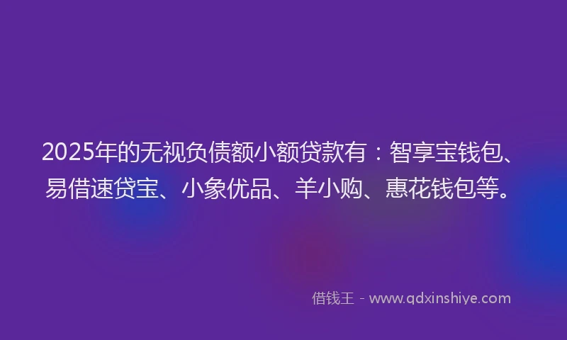 2025年的无视负债额小额贷款有：智享宝钱包、易借速贷宝、小象优品、羊小购、惠花钱包等。