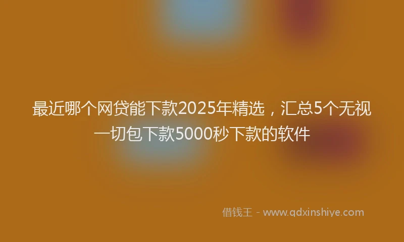 最近哪个网贷能下款2025年精选，汇总5个无视一切包下款5000秒下款的软件