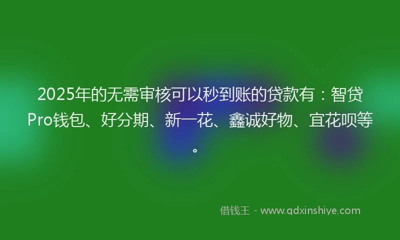 2025年的无需审核可以秒到账的贷款有：智贷Pro钱包、好分期、新一花、鑫诚好物、宜花呗等。