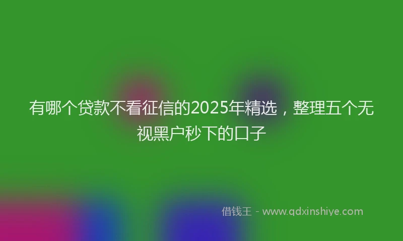 有哪个贷款不看征信的2025年精选，整理五个无视黑户秒下的口子