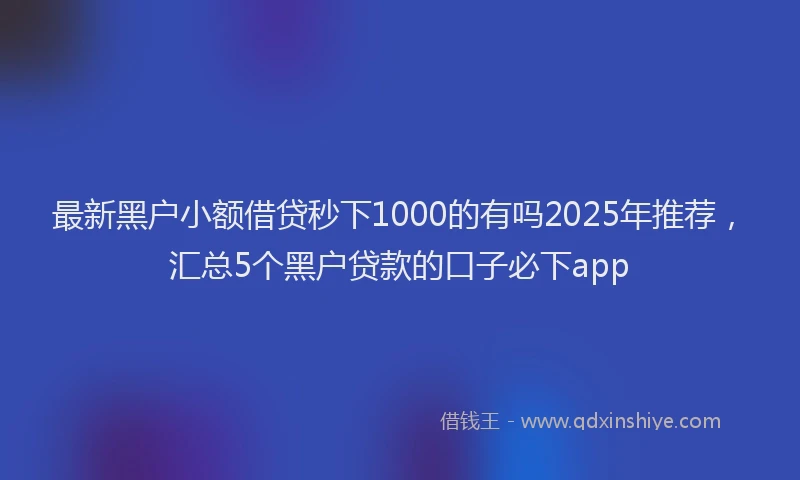 最新黑户小额借贷秒下1000的有吗2025年推荐，汇总5个黑户贷款的口子必下app