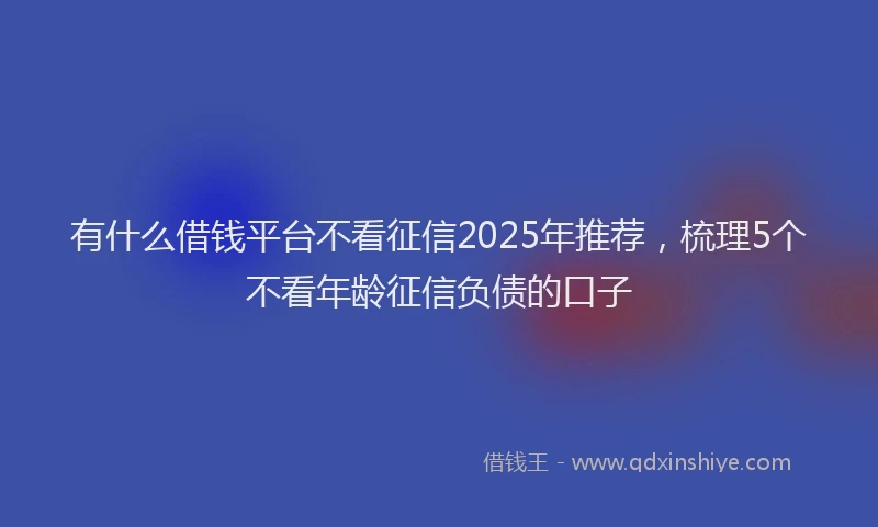 有什么借钱平台不看征信2025年推荐，梳理5个不看年龄征信负债的口子