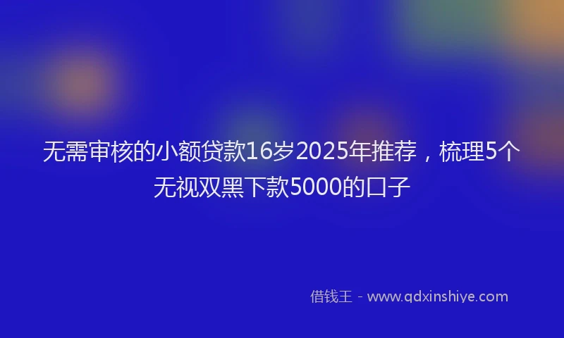 无需审核的小额贷款16岁2025年推荐，梳理5个无视双黑下款5000的口子