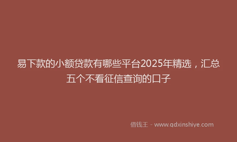 易下款的小额贷款有哪些平台2025年精选，汇总五个不看征信查询的口子