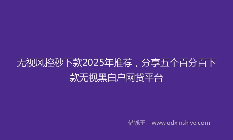 无视风控秒下款2025年推荐，分享五个百分百下款无视黑白户网贷平台