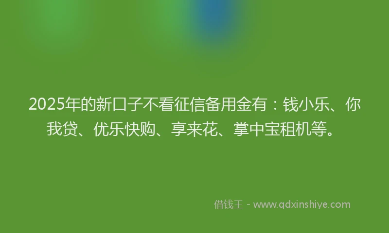 2025年的新口子不看征信备用金有：钱小乐、你我贷、优乐快购、享来花、掌中宝租机等。
