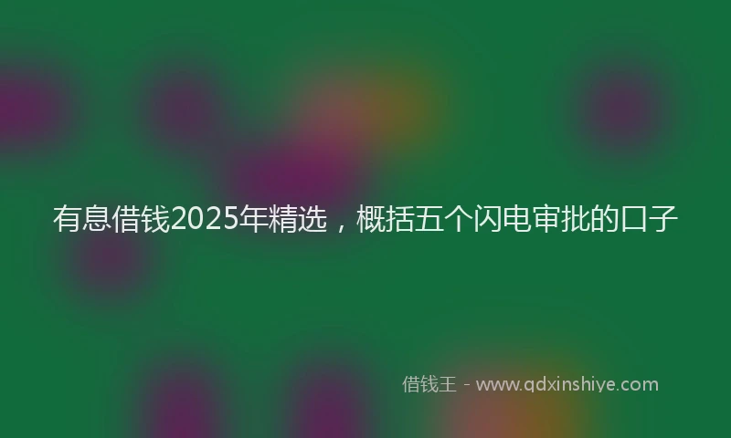有息借钱2025年精选，概括五个闪电审批的口子