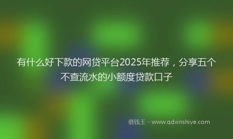 有什么好下款的网贷平台2025年推荐，分享五个不查流水的小额度贷款口子