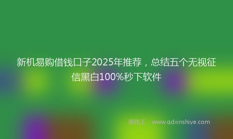 新机易购借钱口子2025年推荐，总结五个无视征信黑白100%秒下软件