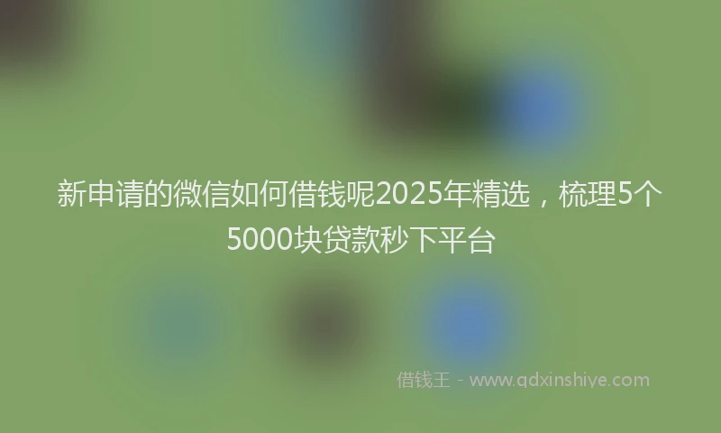 新申请的微信如何借钱呢2025年精选，梳理5个5000块贷款秒下平台