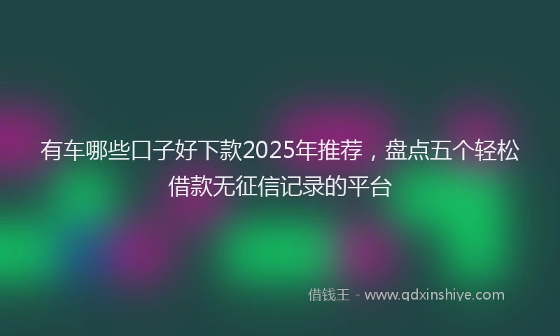 有车哪些口子好下款2025年推荐，盘点五个轻松借款无征信记录的平台
