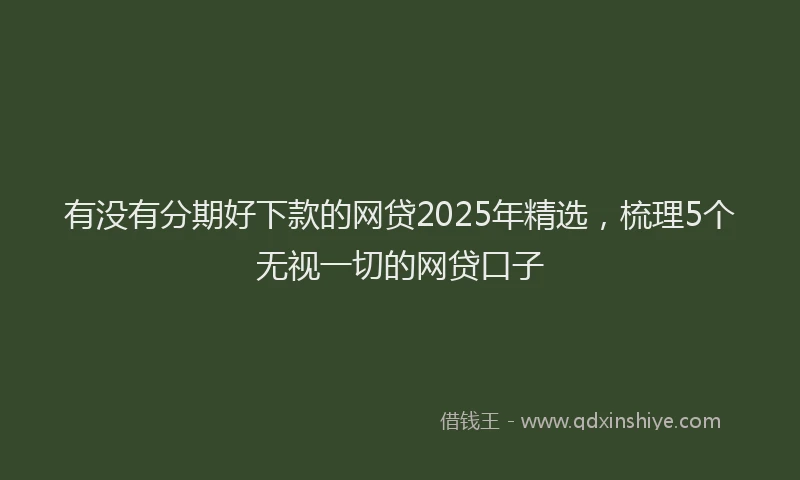 有没有分期好下款的网贷2025年精选，梳理5个无视一切的网贷口子