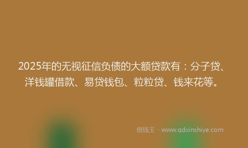 2025年的无视征信负债的大额贷款有：分子贷、洋钱罐借款、易贷钱包、粒粒贷、钱来花等。