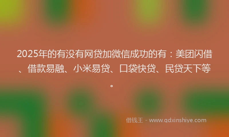 2025年的有没有网贷加微信成功的有：美团闪借、借款易融、小米易贷、口袋快贷、民贷天下等。
