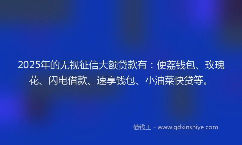 2025年的无视征信大额贷款有：便荔钱包、玫瑰花、闪电借款、速享钱包、小油菜快贷等。