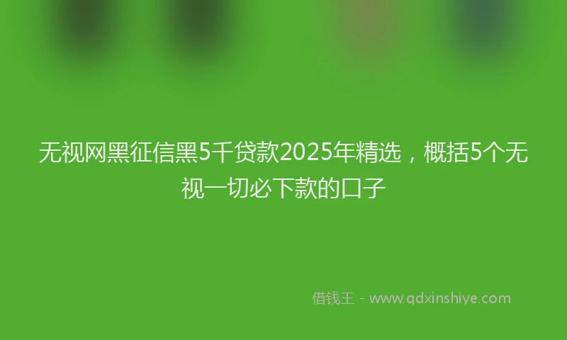 无视网黑征信黑5千贷款2025年精选，概括5个无视一切必下款的口子