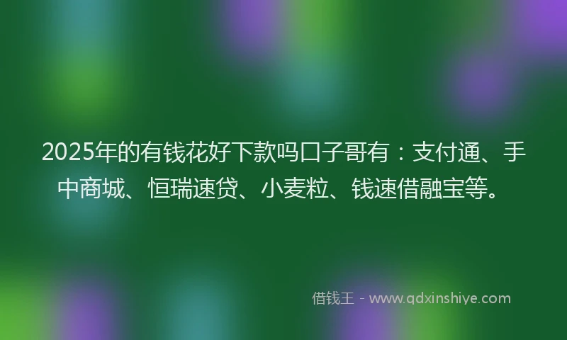 2025年的有钱花好下款吗口子哥有：支付通、手中商城、恒瑞速贷、小麦粒、钱速借融宝等。