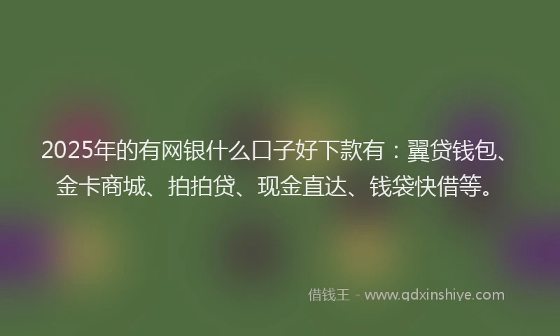 2025年的有网银什么口子好下款有：翼贷钱包、金卡商城、拍拍贷、现金直达、钱袋快借等。
