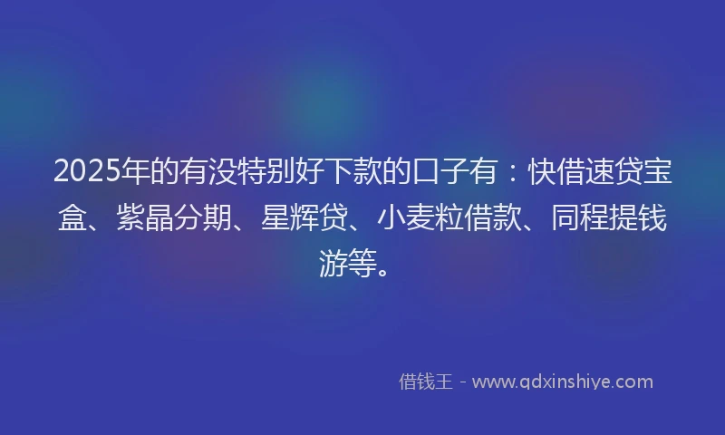 2025年的有没特别好下款的口子有：快借速贷宝盒、紫晶分期、星辉贷、小麦粒借款、同程提钱游等。