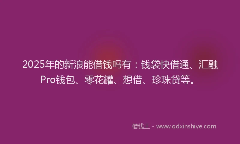 2025年的新浪能借钱吗有：钱袋快借通、汇融Pro钱包、零花罐、想借、珍珠贷等。