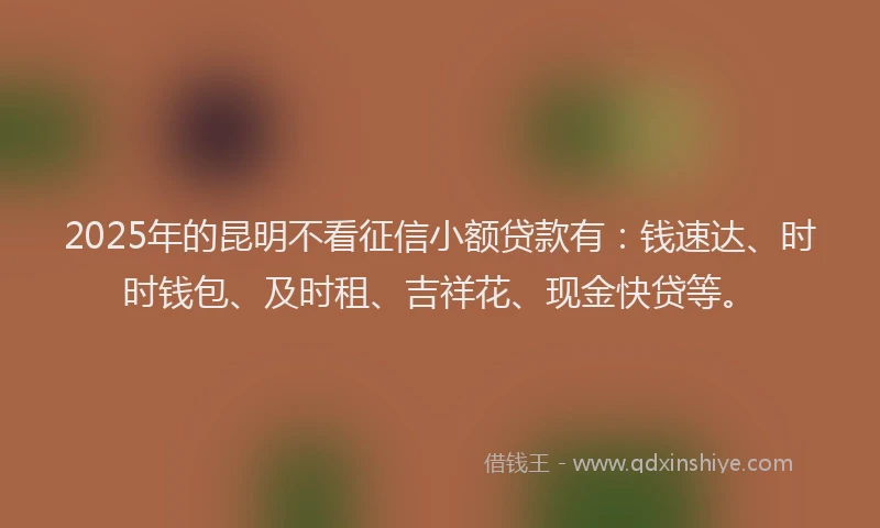 2025年的昆明不看征信小额贷款有：钱速达、时时钱包、及时租、吉祥花、现金快贷等。