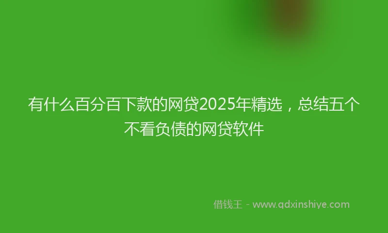有什么百分百下款的网贷2025年精选，总结五个不看负债的网贷软件