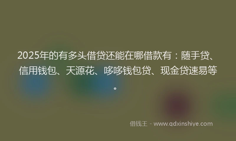2025年的有多头借贷还能在哪借款有：随手贷、信用钱包、天源花、哆哆钱包贷、现金贷速易等。