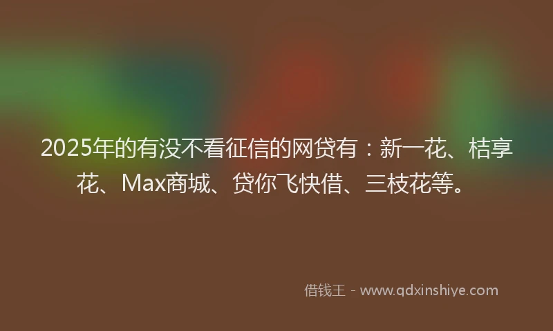 2025年的有没不看征信的网贷有：新一花、桔享花、Max商城、贷你飞快借、三枝花等。