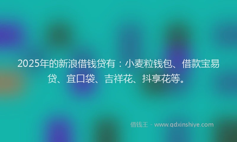 2025年的新浪借钱贷有：小麦粒钱包、借款宝易贷、宜口袋、吉祥花、抖享花等。
