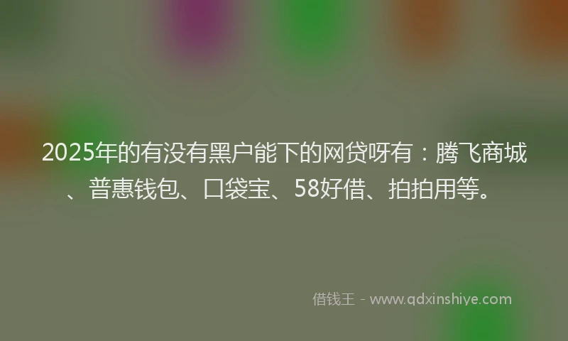2025年的有没有黑户能下的网贷呀有：腾飞商城、普惠钱包、口袋宝、58好借、拍拍用等。
