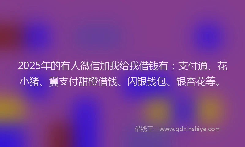 2025年的有人微信加我给我借钱有：支付通、花小猪、翼支付甜橙借钱、闪银钱包、银杏花等。