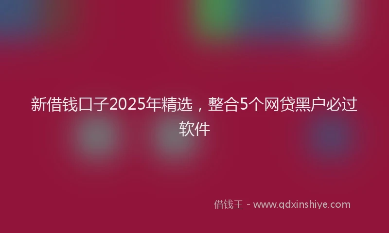 新借钱口子2025年精选，整合5个网贷黑户必过软件