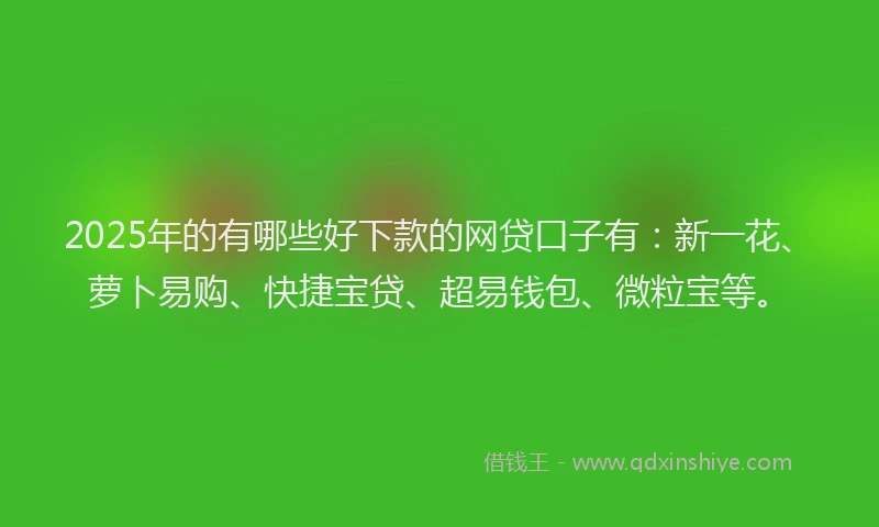 2025年的有哪些好下款的网贷口子有：新一花、萝卜易购、快捷宝贷、超易钱包、微粒宝等。