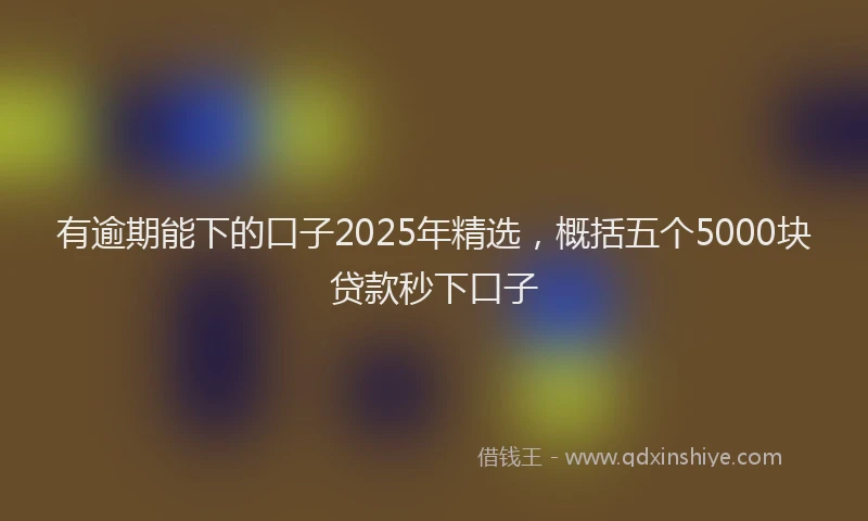 有逾期能下的口子2025年精选，概括五个5000块贷款秒下口子