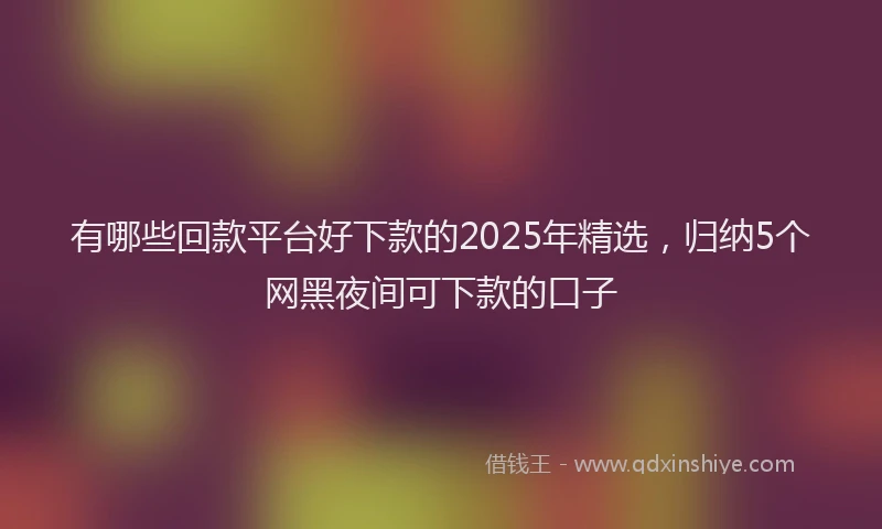 有哪些回款平台好下款的2025年精选，归纳5个网黑夜间可下款的口子