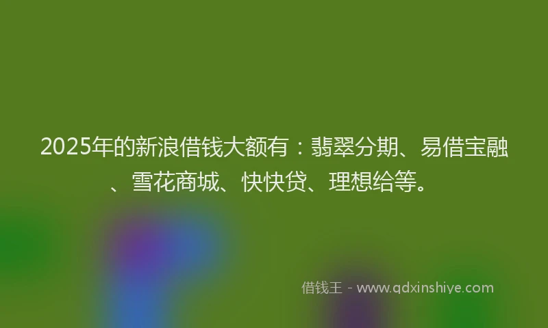 2025年的新浪借钱大额有：翡翠分期、易借宝融、雪花商城、快快贷、理想给等。