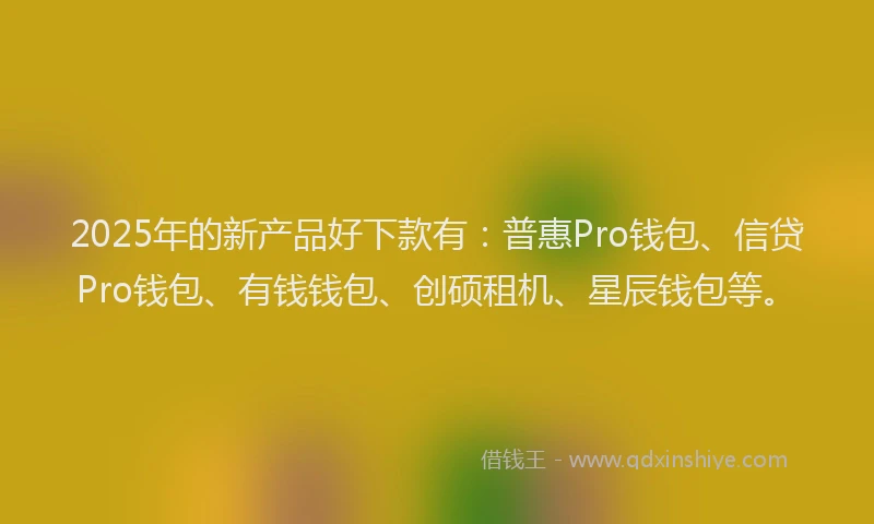2025年的新产品好下款有：普惠Pro钱包、信贷Pro钱包、有钱钱包、创硕租机、星辰钱包等。