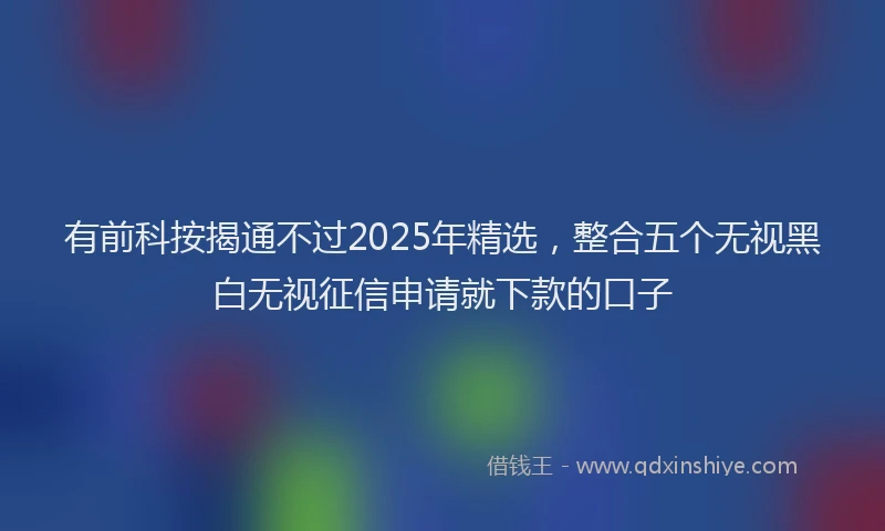 有前科按揭通不过2025年精选，整合五个无视黑白无视征信申请就下款的口子