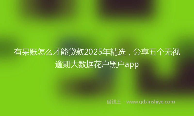 有呆账怎么才能贷款2025年精选，分享五个无视逾期大数据花户黑户app