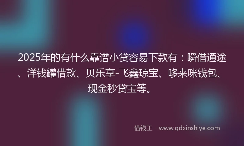 2025年的有什么靠谱小贷容易下款有：瞬借通途、洋钱罐借款、贝乐享-飞鑫琼宝、哆来咪钱包、现金秒贷宝等。