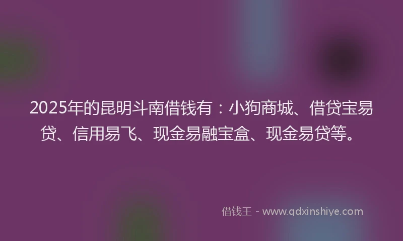 2025年的昆明斗南借钱有：小狗商城、借贷宝易贷、信用易飞、现金易融宝盒、现金易贷等。