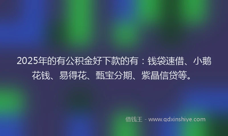 2025年的有公积金好下款的有：钱袋速借、小鹅花钱、易得花、甄宝分期、紫晶信贷等。