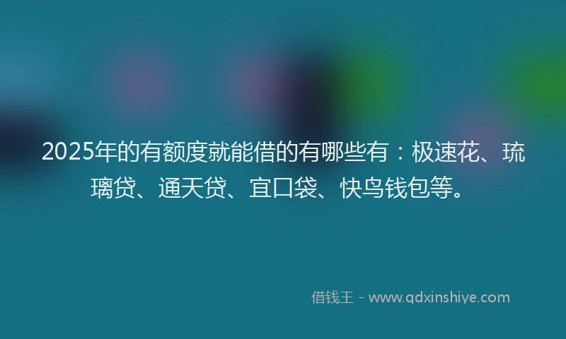 2025年的有额度就能借的有哪些有：极速花、琉璃贷、通天贷、宜口袋、快鸟钱包等。