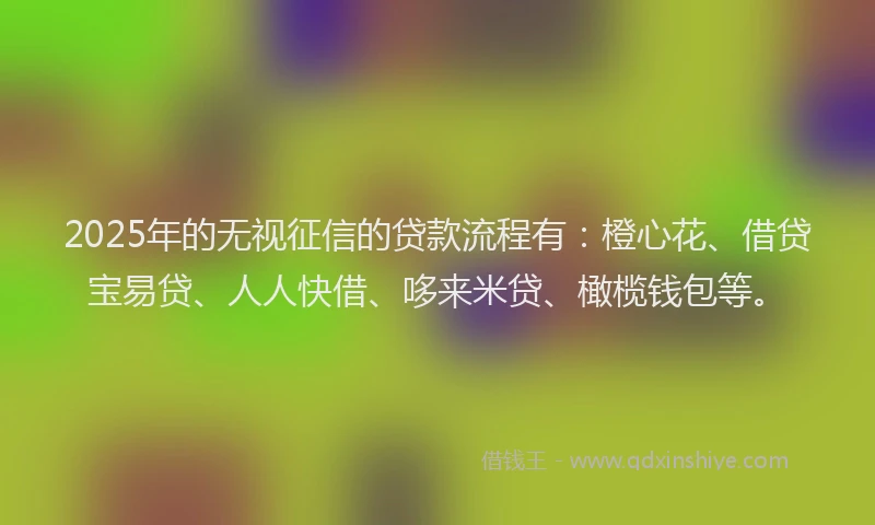 2025年的无视征信的贷款流程有：橙心花、借贷宝易贷、人人快借、哆来米贷、橄榄钱包等。