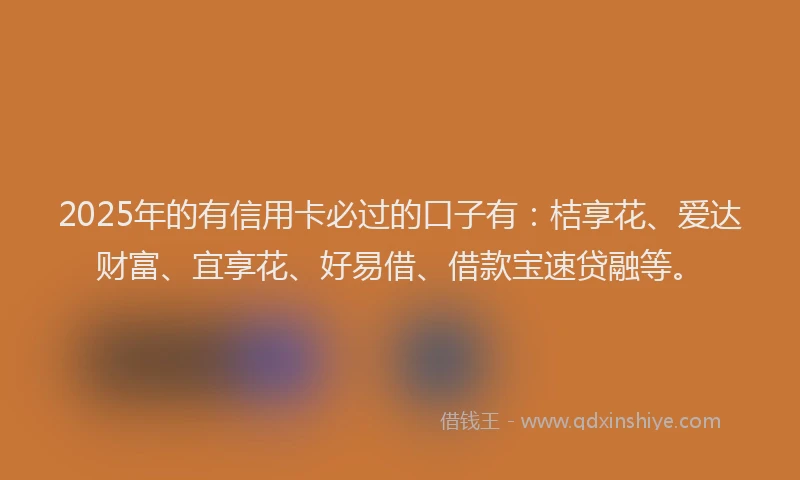 2025年的有信用卡必过的口子有：桔享花、爱达财富、宜享花、好易借、借款宝速贷融等。