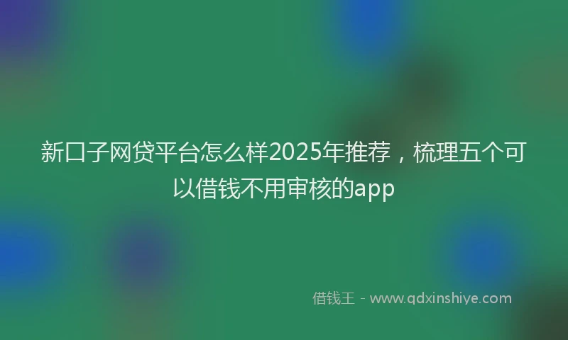 新口子网贷平台怎么样2025年推荐，梳理五个可以借钱不用审核的app